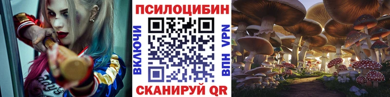 Псилоцибиновые грибы мухоморы  мориарти официальный сайт  Кинель 