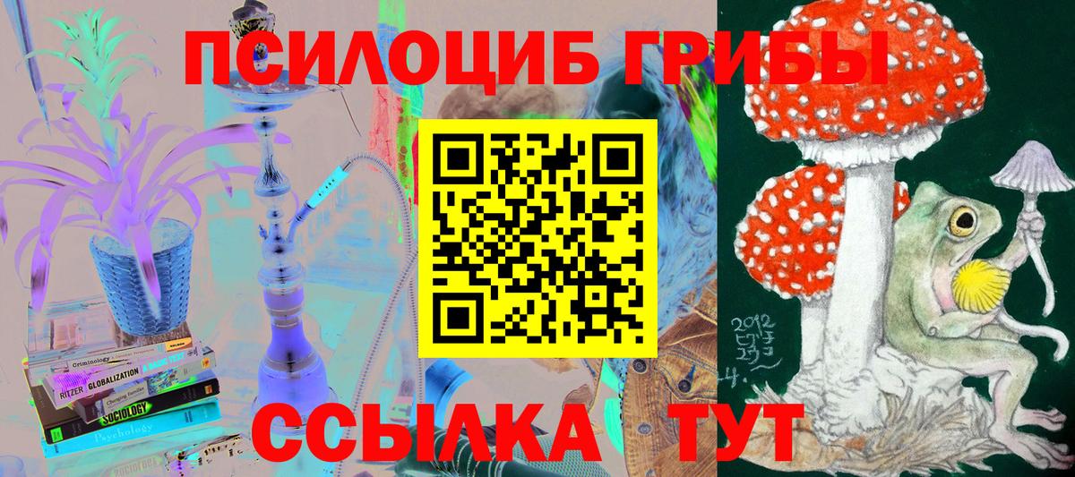 Псилоцибиновые грибы Cubensis Кинель